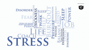 Trucker Fitness: Managing Stress Through Movement: Part 1 Mother trucker yoga blog on stress 1