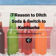 7 reasons to ditch soda and switch to kombusha mother trucker yoga blog