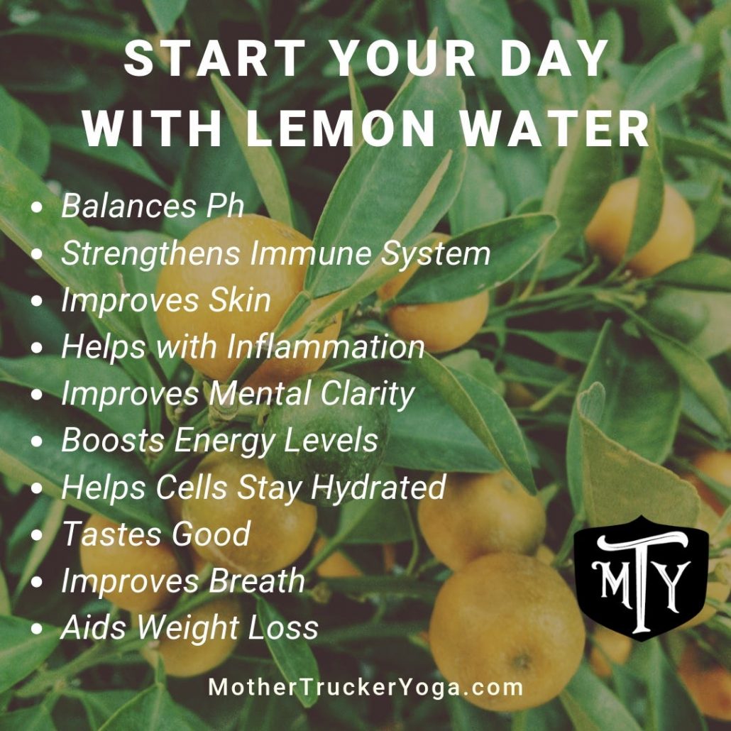 MTY Lemon Water