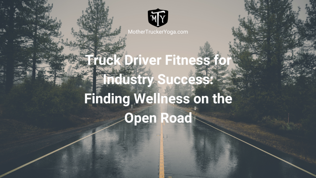 Truck driver fitness for industry success