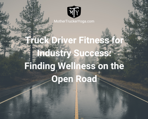 Truck driver fitness for industry success